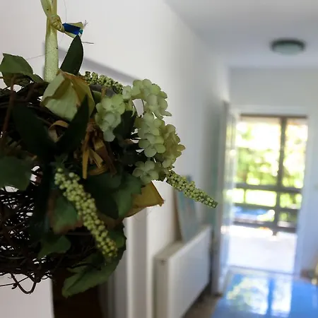 Holiday Senada 度假居